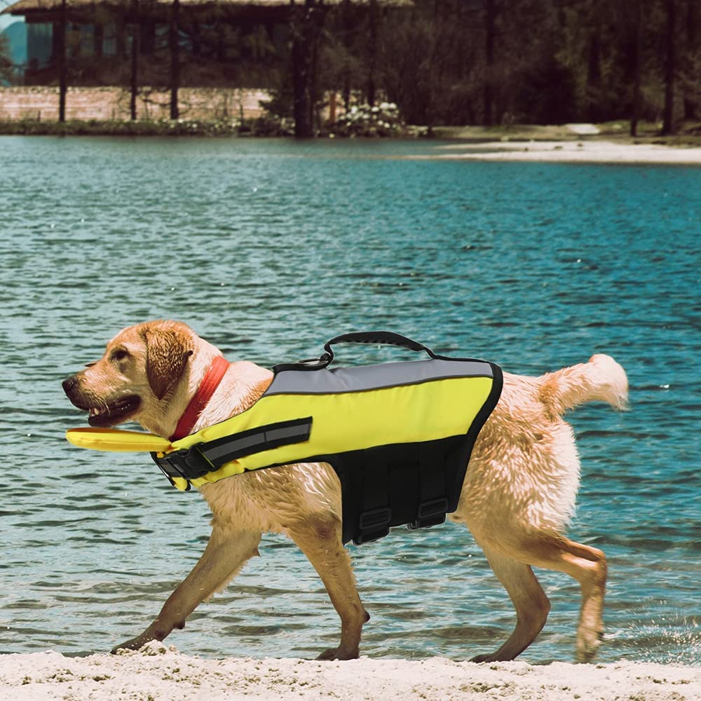 Dog Life Jacket with Neck Float, High 