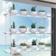 thumbnail image 2 of Estantes colgantes de acrílico de 3 niveles para ventanas, cada nivel de 16 pulgadas de largo, soporte de plantas ajustable en altura, soporte transpa, 2 of 7