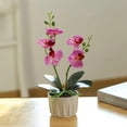 thumbnail image 2 of (Light Purple) Two Forks and Five Flowers Phalaenopsis Bonsai, 2 of 4