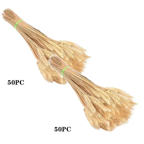 100Pcs Dried Flowers Wheat Ear Flower Natural Dried Flowers For Wedding Party Decoration Diy Craft Scrapbook Home Artificial Flowers