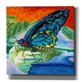thumbnail image 1 of Epic Graffiti 'Poised Butterfly II' by Carolee Vitaletti, Canvas Wall Art, 26"x26", 1 of 2