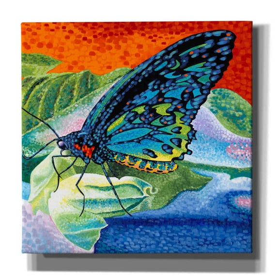 Epic Graffiti 'Poised Butterfly II' by Carolee Vitaletti, Canvas Wall Art, 26"x26"