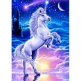 thumbnail image 1 of Pintura Diamante (DE6615) 5D DIY Diferentes Animales Cuadrado (Caballo Cuerno) 45x60cm Hugtrwg Para estrenar, 1 of 1
