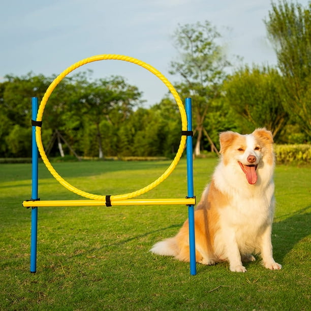 Yiotl Dog Agility Hoop Jump Outdoor Pet Agility Ring,Dog Agility Training Equipment, Outdoor Dog