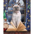 thumbnail image 3 of Cuadros Decorativos 11CT punto de cruz completo gato mágico estampado DIY Animal impreso pared arte hogar manualidades Ndcxsfigh Nuevos Originales, 3 of 9