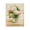 Cottage Hydrangeas Pink Floral Bouquet, variant on Stupell Industries French Country White Hydrangeas Botanique Black Framed Giclee Art, 11 x 14, by Ziwei Li