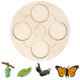 thumbnail image 2 of Juguete de bandeja de madera, kit de ciclo de vida de insectos, etapas de insectos para estudiantes, proyecto escolar educativo construido para durar, 2 of 7