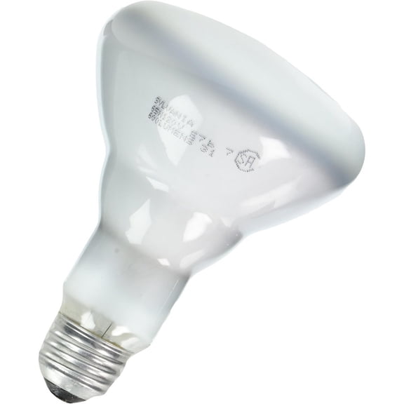 Lighting  65w 120-volt Indoor Flood Bulb, 6-Pack