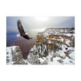 thumbnail image 1 of Ambesonne Africa Jigsaw Puzzle, Bald Eagle Landscape, Heirloom-Quality Fun Activity for Family Durable Cardboard, 1000 pcs, White Brown, 1 of 5