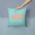 thumbnail image 2 of Welsh Pig Blue Check Fabric Decorative Pillow, 2 of 4