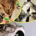 thumbnail image 2 of 3X Cat Natural Catnip Sugar Candy Licking Solid Nutrition Energy Ball, 2 of 4