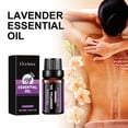 thumbnail image 3 of Aceite esencial de lavanda OceAura, 3 of 10