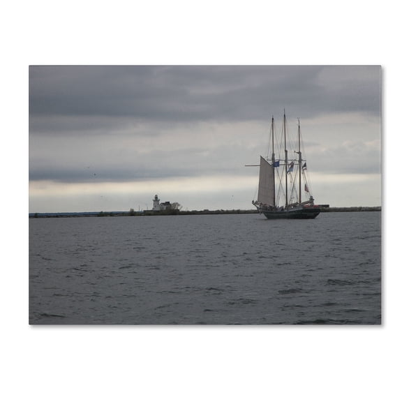 Trademark Fine Art "Breaking Boundary" Canvas Art by Monica Fleet