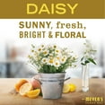 thumbnail image 5 of Mrs. Meyer's Clean Day Liquid Dish Soap, Daisy Scent, 16 OZ (Pack of 2), 5 of 5