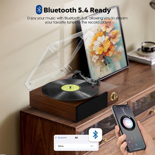 FYDEE Record Player, Vinyl Record Player with Built-in Speakers