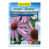 Ferry-Morse 205MG Purple Coneflower Perennial Flower Seeds, Full Sun