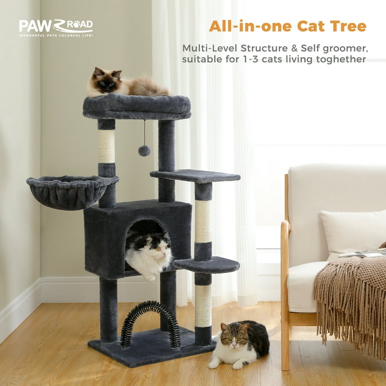 PAWZ Road 42