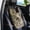 Gray, variant on Closet Organizers And Storage Back Seat Car Organizer - Kick Mats Back Seat Protector | Car Seatback Covers Storage Containers for Kitchen Drawer, Desk Drawer and Bathroom Drawer Organization
