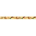 thumbnail image 1 of Edupress Photo Border - Cinco de Mayo, 1 of 1