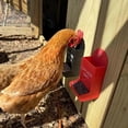 thumbnail image 3 of Hanging Gravity Poultry Feeder, Grit Dispenser Chicken Feeder, No Waste Design Feeding Station for Hens Ducks Coop, 3 of 5