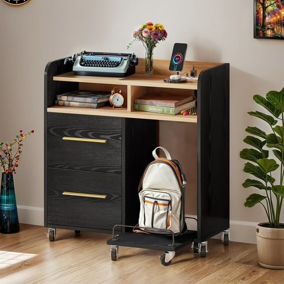 ModFusion 35.1" File Cabinet: 2-File Drawer, Charging Station, Pull-out Shelf with Carts for Paper Shredder, Wheel with Brake to Lock, 2.9x1.3x2.9 ft Printer Stand, Black