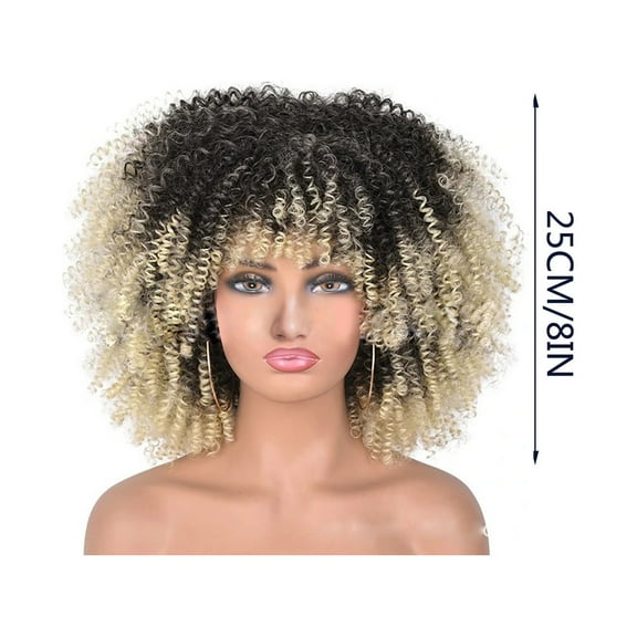 Beauty Under $10 Fashion Wig Curly Hair Explosion High Temperature Silk Rose Mesh Wig Full Head Cover D