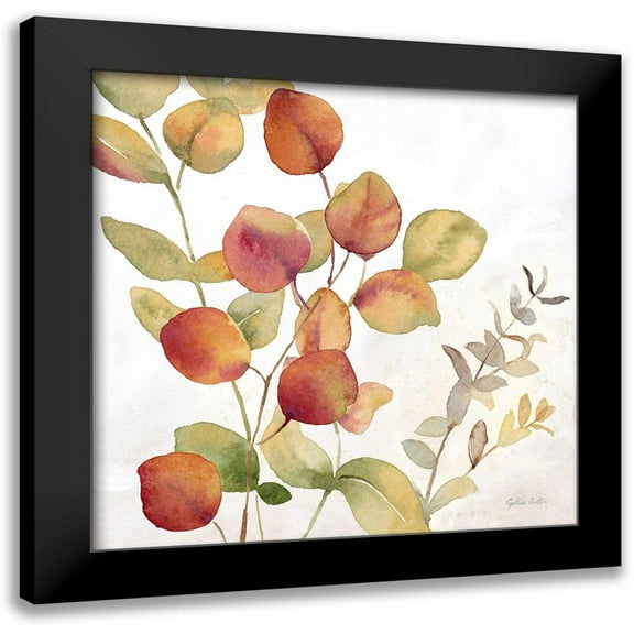 Coulter, Cynthia 12x12 Black Modern Framed Museum Art Print Titled - Eucalyptus Leaves spice II