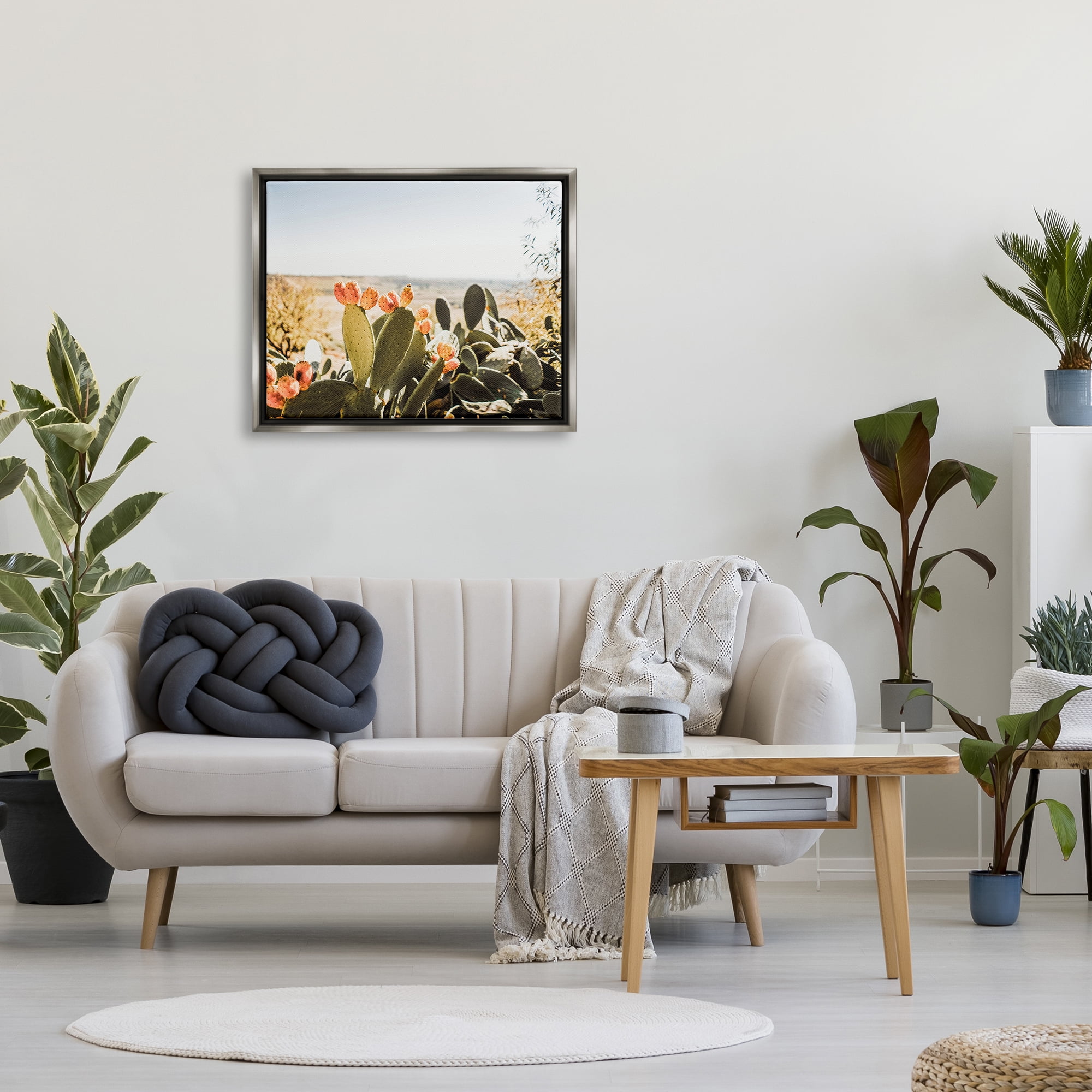 Stupell Sunlit Prickly Pear Cactus Photography Landscape Photography Gray Floater Framed Art Print Wall Art