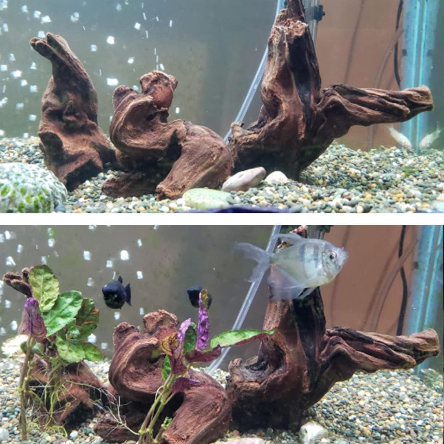 Aquarium Driftwood 3PCS Natural Trunk Driftwood Assorted Branches 8-12" Reptile Wood Decor Terrarium Ornament Fish Tank Decoration