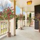 thumbnail image 3 of 6ft de altura potted artificial bougainvillea tree con wood trunk y rosa flowers para indoor y outdoor use, 3 of 5