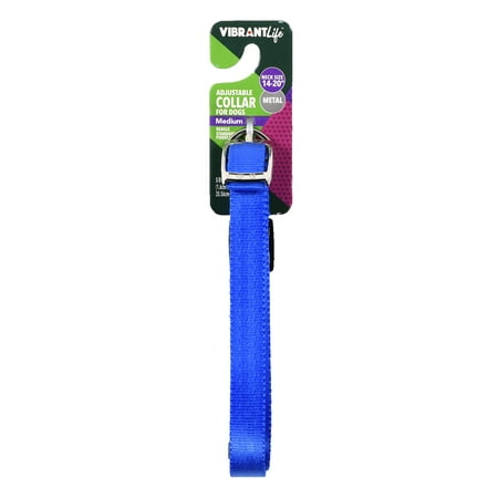 Blue Adjustable Collar - Vibrant Life Adjustable Blue Dog Collar with Metal Clasp, Medium, 14-20 in, 5/8 in