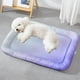 thumbnail image 5 of Alfombrilla Refrescante Para Mascotas, Superficie Antideslizante, Material De Secado Rpido, Para Uso Interior Exterior, Almohadilla De Verano Para Mascotas, Alfombrilla Para Aliviar El, Ukhbmc, 5 of 8