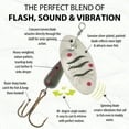 thumbnail image 6 of (2 pack) Panther Martin PMWB_6_U Teardrop Nature Series Spinners Fishing Lure - Wild Brook - 6 (1/4 oz), 6 of 7