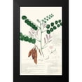 thumbnail image 2 of Descubes, A. 13x18 Black Modern Framed Museum Art Print Titled - Descubes Ferns I, 2 of 5