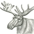 thumbnail image 3 of Wilson, Kelsey 20x20 Black Modern Framed Museum Art Print Titled - Watercolor Pencil Forest I-Moose, 3 of 5