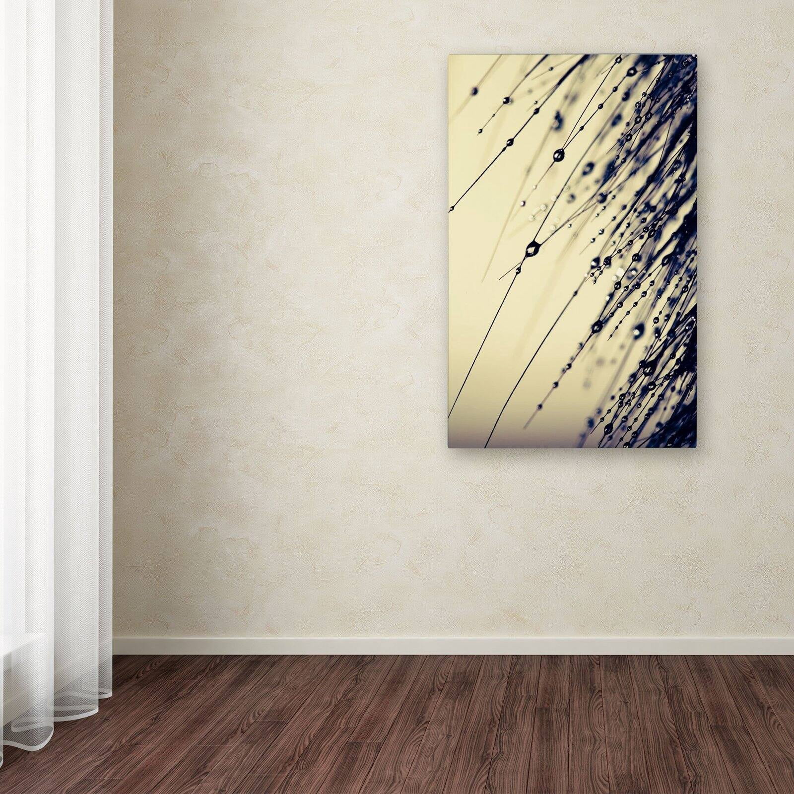 Trademark Fine Art "Music of Yesterday" Canvas Art by Beata Czyzowska Young