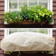 thumbnail image 2 of Protector rectangular para jardineras que protege las plantas en balcones, alféizares y patios de las heladas y el viento (2 unidades), 2 of 4