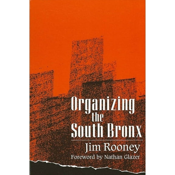 Suny Series, the New Inequalities: Organizing the South Bronx (Paperback)