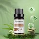 thumbnail image 4 of Fiudx Ofertas del día Aceite corporal 10 ml Aceite masaje hidratante para cuidado de la piel Fragancias Aceite de la piel calmante para cuidado de la piel Nutritivo integral, 4 of 7