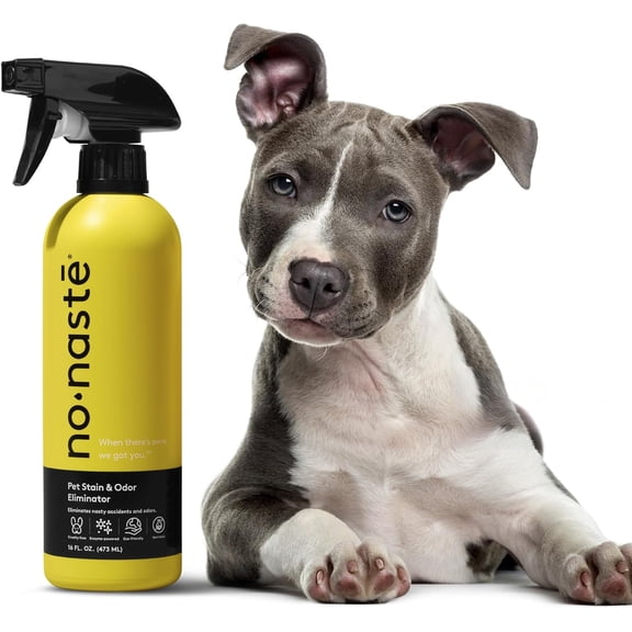 Pet Stain & Odor Eliminator Spray (16 Oz, Pack of 1) – Enzyme Cleaner Spray for Dogs & Cat Messes, Works on Carpets & Upholstery | Pet & Kid Safe, Urine Odor Stain Remover, Light Fresh Scent