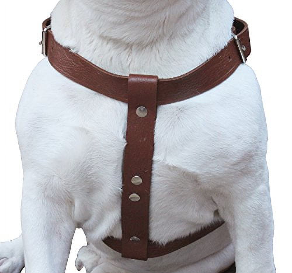 Brown Genuine Tooled Leather Dog Harness Large. 27"-37" Chest, 1.25" Wide Straps Pitbull, Boxer