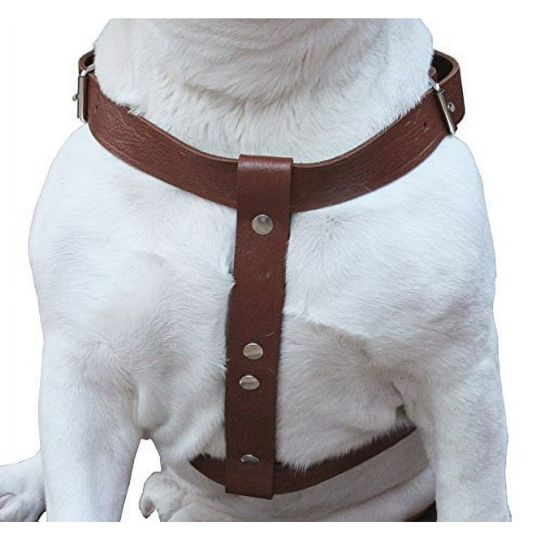 Genuine Leather Dog Weight Pulling Harness No Pull Vest for Rottweiler Pit  Bull