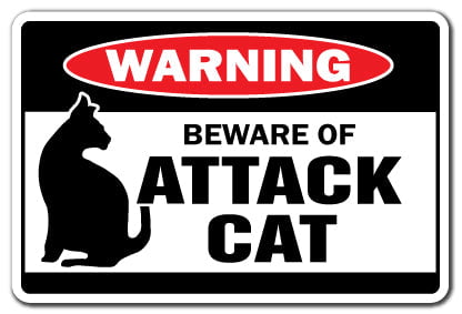 WARNING Beware of Guard Cat PHOTO Funny Door Sign Home Decor Pic 
