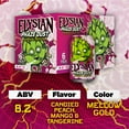 thumbnail image 3 of Elysian Phaze Dust Hazy IPA Craft Beer 6 pack 12 fl oz Aluminum Cans, 8.2% ABV, 3 of 8