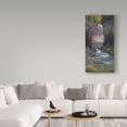 thumbnail image 3 of Trademark Fine Art 'Virginia Falls' Canvas Art by Allen Jimmerson, 3 of 3