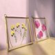 thumbnail image 4 of Marcos de Vidrio para Flores Prensadas y Obras de Arte Yuxing Metal Cuadrados Dorado Transparente 16 x 16 cm, 4 of 5