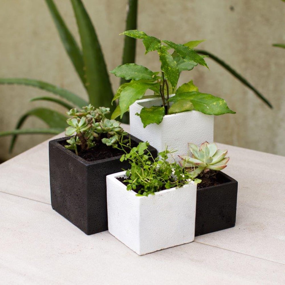 Indoor House Plant Cement Grey & White Heart Herb Planter Flower Pot 10x12cm 