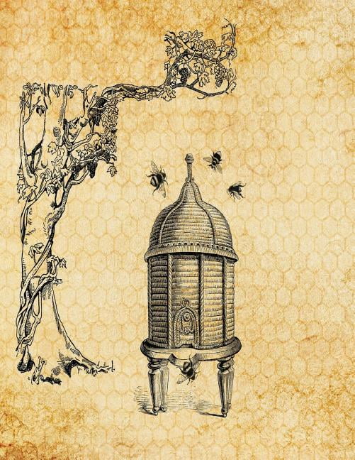 Dot Notebook Dot Notebook Dotted Grid Notebook 8.5 X 11, A4 Notebook