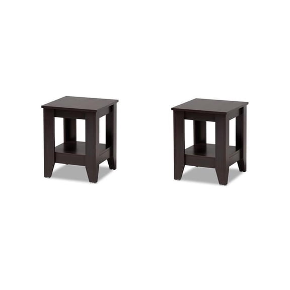 Pemberly Row Set of 2 Contemporary Dark Browned Wood End Tables