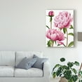 thumbnail image 3 of Trademark Fine Art 'Winsome Peonies I' Canvas Art by Grace Popp, 3 of 4